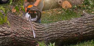 Soil Testing and Treatment in South Glens Falls, NY