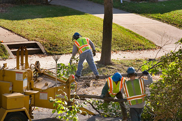 Best Seasonal Cleanup (Spring/Fall)  in South Glens Falls, NY